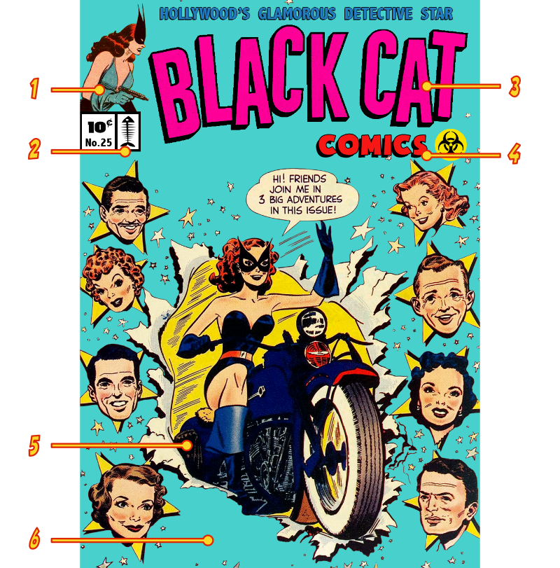 Black Cat NFT Rarity